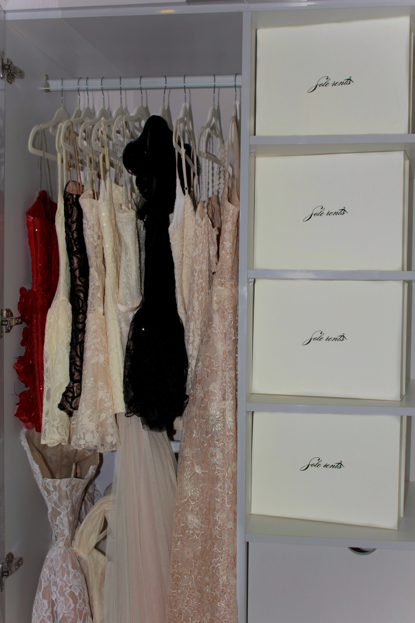 Sole Rents dress collection